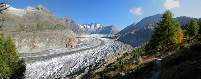 Breitbildfoto bei Punkt 2035 m.ü.M. mit Blick auf den grossen Aletschgletscher und die Walliser Fiescherhörner