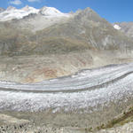 Breitbildfoto Blick Richtung Norden, der grosse Aletschgletscher