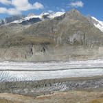 sehr schönes Breitbildfoto vom ganzen Aletschgletscher. Mit 23 Km. der grösste Eisstrom der Alpen