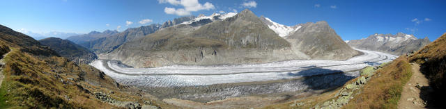 sehr schönes Breitbildfoto vom ganzen Aletschgletscher. Mit 23 Km. der grösste Eisstrom der Alpen