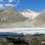 sehr schönes Breitbildfoto vom grossen Aletschgletscher mit Rothorn, Zenbächenhorn, Aletschhorn und Olmenhorn