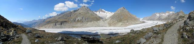 sehr schönes Breitbildfoto vom grossen Aletschgletscher mit Rothorn, Zenbächenhorn, Aletschhorn und Olmenhorn