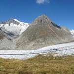 wunderschönes Breitbildfoto vom grossen Aletschgletscher. Jungfrau-Aletsch-Bietschhorn UNESCO Welterbe