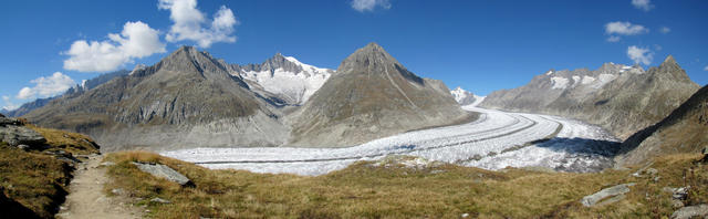 wunderschönes Breitbildfoto vom grossen Aletschgletscher. Jungfrau-Aletsch-Bietschhorn UNESCO Welterbe