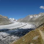 Blick über den Aletschgletscher Richtung Konkordiaplatz, Mönch und Trugberg.