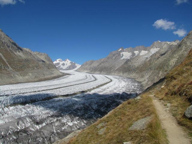 Blick über den Aletschgletscher Richtung Konkordiaplatz, Mönch und Trugberg.