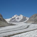 Blick auf Mönch, Trugberg und Konkordiaplatz. Hier ist das Eis ca. 900 m dick