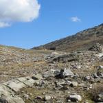 noch zu Beginn des letzten Jahrhundert war hier der Märjelensee 1700 m lang, 460 m breit und 23 m tief