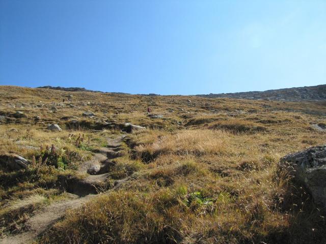 ein steiler Bergpfad führt einem auf das Tälligrat