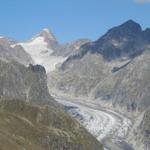 Blick auf den Fieschergletscher und Oberaarhorn