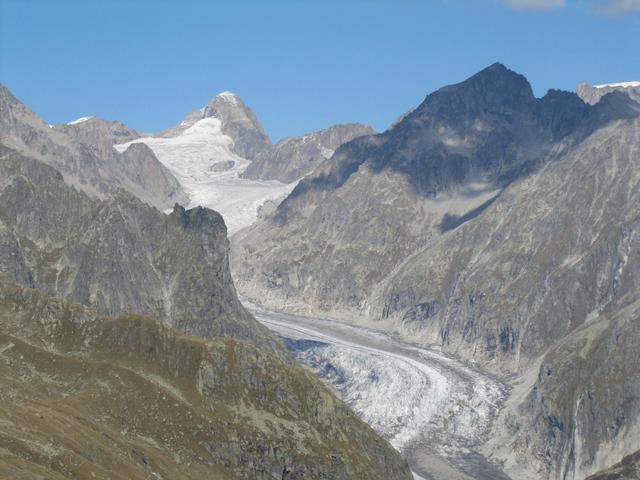 Blick auf den Fieschergletscher und Oberaarhorn