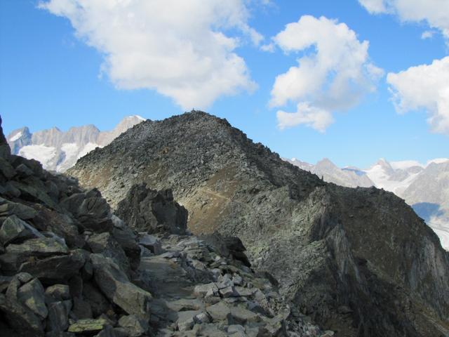 Blick zum Eggishorn, unser Endziel