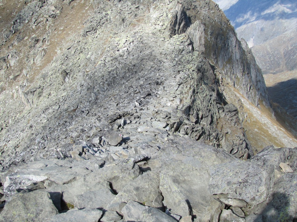 auf dem breiten Grat geht es zum Eggishorn