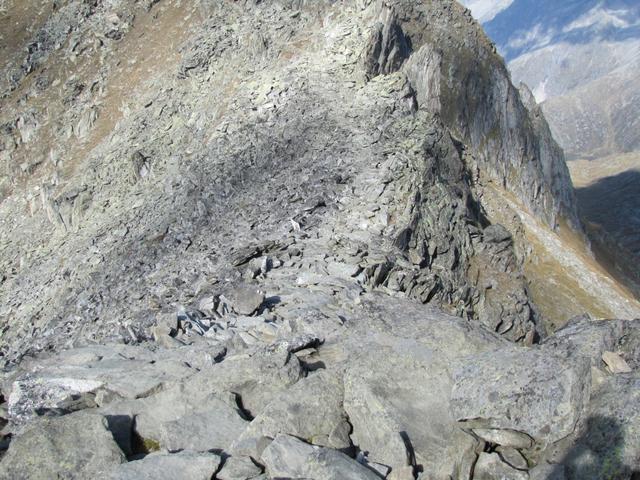 auf dem breiten Grat geht es zum Eggishorn