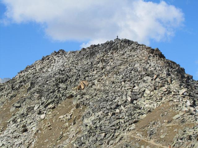 der Eggishorn ist ein einziger grosser Haufen von Blockschutt