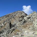 Blick hinauf zum Eggishorn