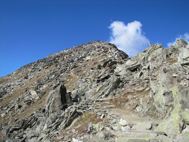 Blick hinauf zum Eggishorn