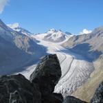 zu Recht wurde das Gebiet Jungfrau-Aletsch-Bietschhorn ins UNESCO Welterbe aufgenommen
