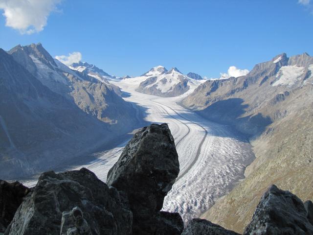 zu Recht wurde das Gebiet Jungfrau-Aletsch-Bietschhorn ins UNESCO Welterbe aufgenommen