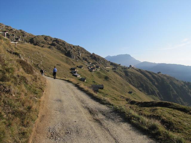 auf einem flach verlaufenden Höhenweg, wanderten wir zum Aletschbord