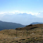 Breitbildfoto mit Blick Richtung Grosser Aletschgletscher und Eggishorn