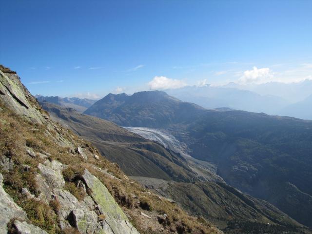 Blick zum Grossen Aletschgletscher mit dem Eggishorn