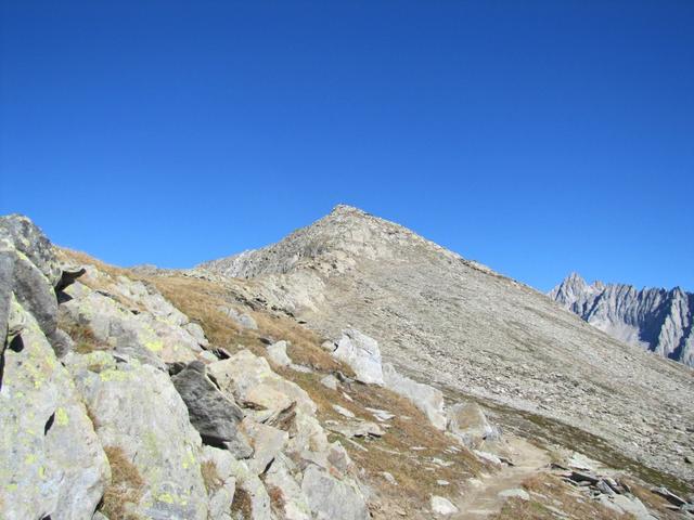 plötzlich steht er vor uns, das Sparrhorn