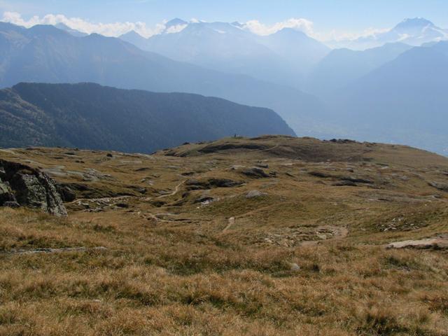 über Schaf- und Kuhweiden folgen wir den gleichen Weg wie wir gekommen sind