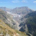 Blick auf die Zunge vom Grossen Aletschgletscher