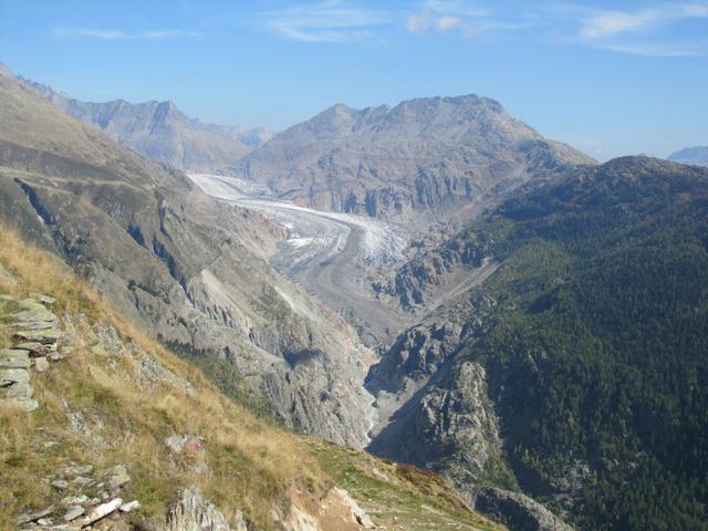 Blick auf die Zunge vom Grossen Aletschgletscher