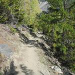 wir waren froh zwischendurch unter Schatten spendende Bäume wandern zu können