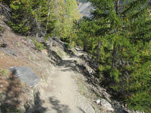 wir waren froh zwischendurch unter Schatten spendende Bäume wandern zu können