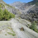 der Wanderweg führt über vom Gletscher flach geschliffene Felsen