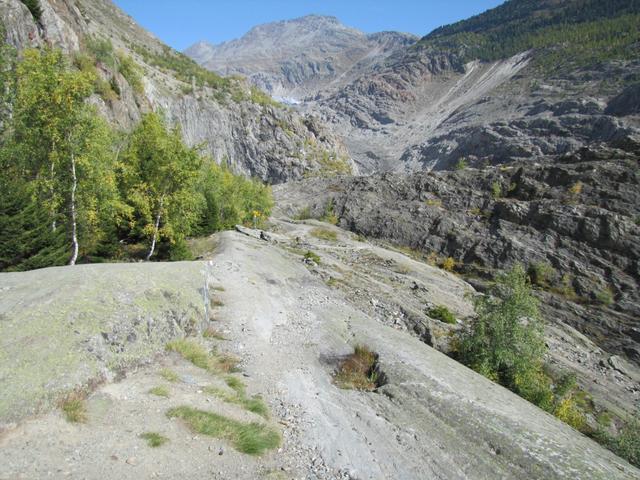 der Wanderweg führt über vom Gletscher flach geschliffene Felsen