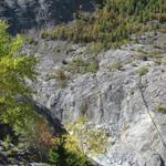 Blick zurück zur schönen Hängebrücke über die Massaschlucht