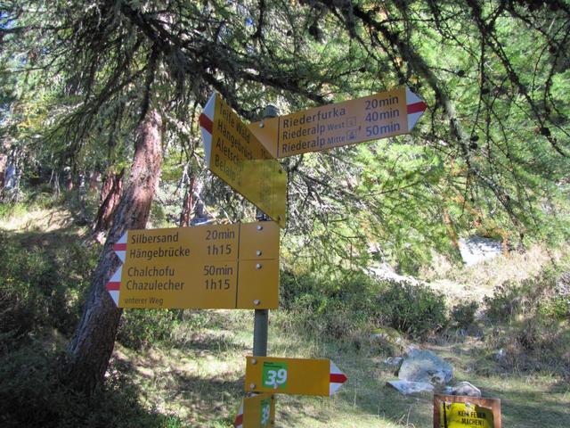 Wegweiser bei einer Wegkreuzung im Teiffe Wald kurz unterhalb von Punkt 1850 m.ü.M.