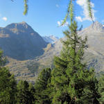 Breitbildfoto vom Teiffe Wald aus gesehen zum Sparrhorn, das sich auf dem Foto links befindet