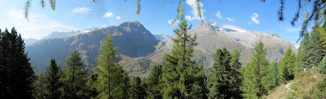 Breitbildfoto vom Teiffe Wald aus gesehen zum Sparrhorn, das sich auf dem Foto links befindet