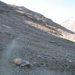 am Fuss des kleinen Griesshorn führt der Wanderweg zum Griespass