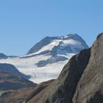 Blick hinauf zum mächtigen Ofenhorn