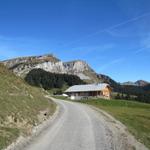 bei Punkt 1693 m.ü.M. biegt der Wanderweg links ab. Gut ersichtlich am Horizont der Hohgant