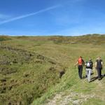 auf dem Weg zur Graskuppe  "Höchst"