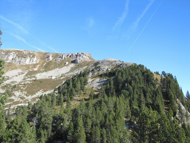 Blick hinauf zur Steinigi Matte