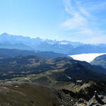 schönes Breitbildfoto mit Augstmatthorn, die Berner Riesen und die Nebeldecke beim Thunersee