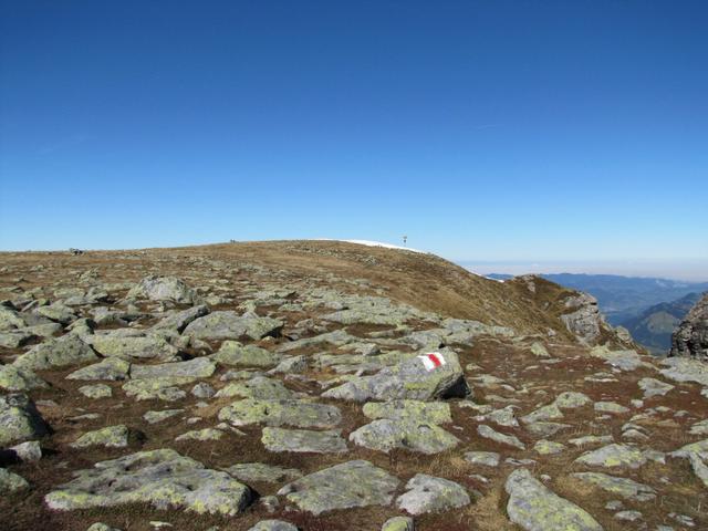 wir haben der Hohgant 2163 m.ü.M. erreicht