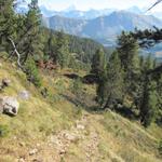 durch Tannen- und Kieferwälder führt uns der schöne Wanderweg nun zu Punkt 1805 m.ü.M.