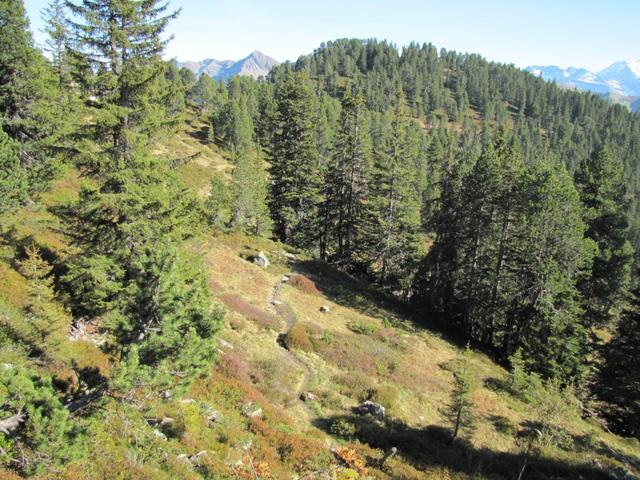 die ganze Gegend um die Lombachalp ist wirklich eine schöne Gegend