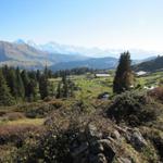 wir haben die Hütte Hohgant verlassen und wandern nun abwärts nach Ällgäuli