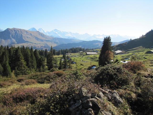 wir haben die Hütte Hohgant verlassen und wandern nun abwärts nach Ällgäuli