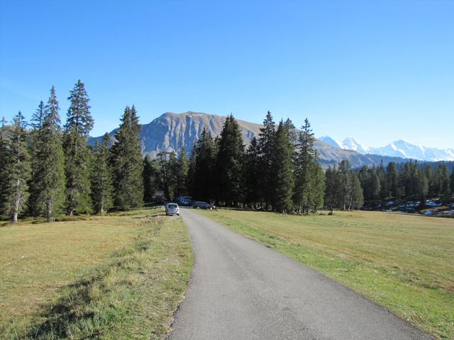 beim Parkplatz Schwarzbach auf der Lombachalp 1643 m.ü.M.